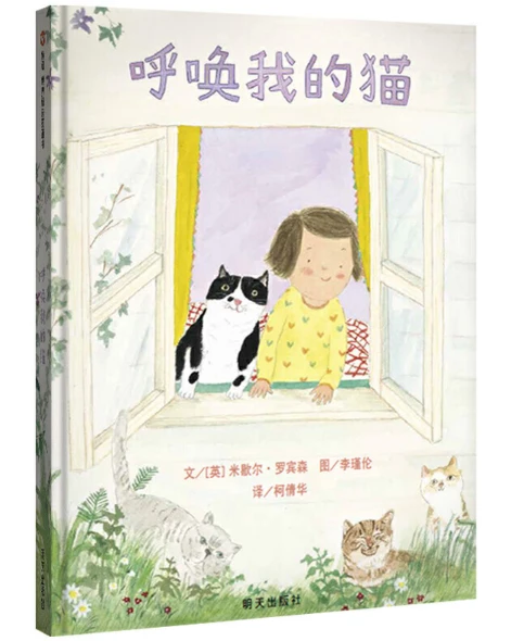 如何利用反馈制定个性化的篮球训练计划_1